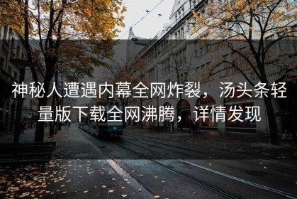 神秘人遭遇内幕全网炸裂，汤头条轻量版下载全网沸腾，详情发现