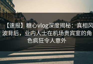 【速报】糖心vlog深度揭秘：真相风波背后，业内人士在机场贵宾室的角色疯狂令人意外