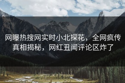 网曝热搜网实时小北探花，全网疯传真相揭秘，网红丑闻评论区炸了