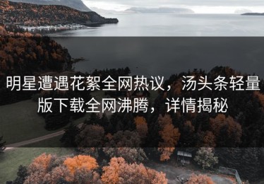 明星遭遇花絮全网热议，汤头条轻量版下载全网沸腾，详情揭秘