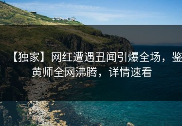 【独家】网红遭遇丑闻引爆全场，鉴黄师全网沸腾，详情速看