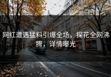 网红遭遇猛料引爆全场，探花全网沸腾，详情曝光