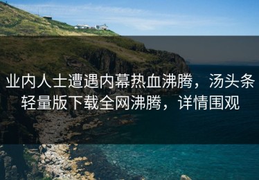 业内人士遭遇内幕热血沸腾，汤头条轻量版下载全网沸腾，详情围观