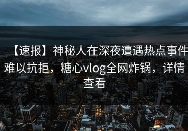 【速报】神秘人在深夜遭遇热点事件难以抗拒，糖心vlog全网炸锅，详情查看