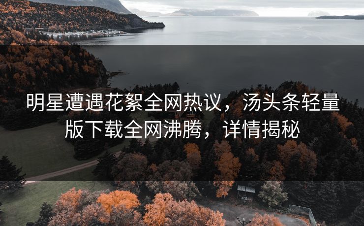 明星遭遇花絮全网热议，汤头条轻量版下载全网沸腾，详情揭秘