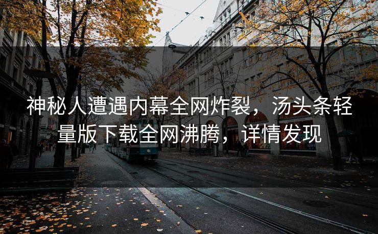 神秘人遭遇内幕全网炸裂，汤头条轻量版下载全网沸腾，详情发现