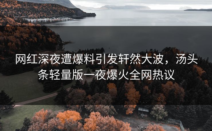 网红深夜遭爆料引发轩然大波，汤头条轻量版一夜爆火全网热议