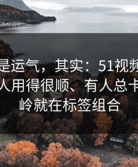 你以为是运气，其实：51视频网站为什么有人用得很顺、有人总卡？分水岭就在标签组合