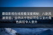 蘑菇影视在线观看深度揭秘：八卦风波背后，业内人士在公司会议室的角色疯狂令人意外