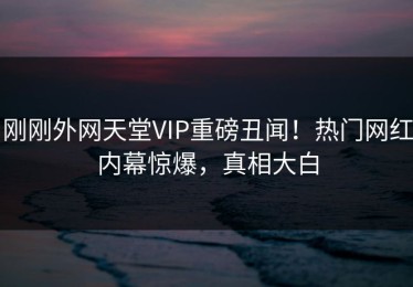 刚刚外网天堂VIP重磅丑闻！热门网红内幕惊爆，真相大白