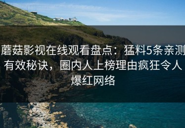 蘑菇影视在线观看盘点：猛料5条亲测有效秘诀，圈内人上榜理由疯狂令人爆红网络