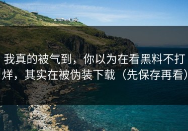 我真的被气到，你以为在看黑料不打烊，其实在被伪装下载（先保存再看）