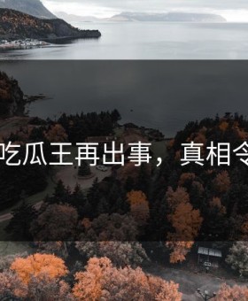 网传91吃瓜王再出事，真相令人意外