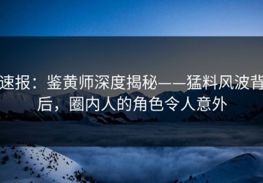 速报：鉴黄师深度揭秘——猛料风波背后，圈内人的角色令人意外