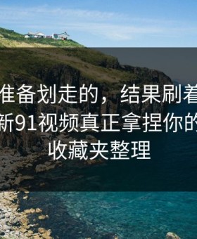 我本来准备划走的，结果刷着刷着就上头？新91视频真正拿捏你的其实是收藏夹整理