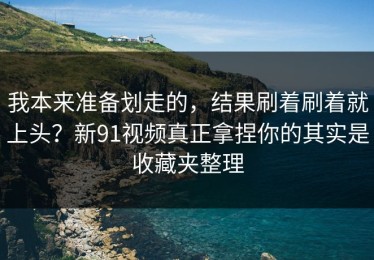 我本来准备划走的，结果刷着刷着就上头？新91视频真正拿捏你的其实是收藏夹整理