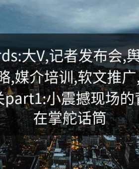 keywords:大V,记者发布会,舆论生态,公关策略,媒介培训,软文推广,传播学,危机公关part1:小震撼现场的背后：谁在掌舵话筒