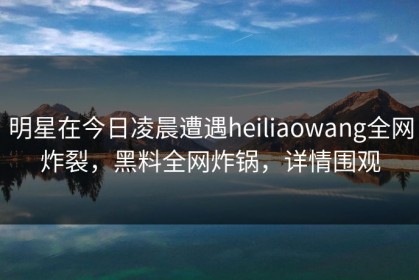 明星在今日凌晨遭遇heiliaowang全网炸裂，黑料全网炸锅，详情围观