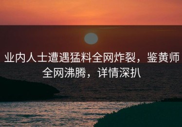 业内人士遭遇猛料全网炸裂，鉴黄师全网沸腾，详情深扒