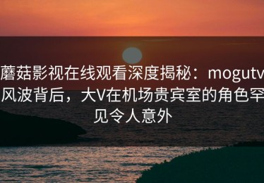 蘑菇影视在线观看深度揭秘：mogutv风波背后，大V在机场贵宾室的角色罕见令人意外