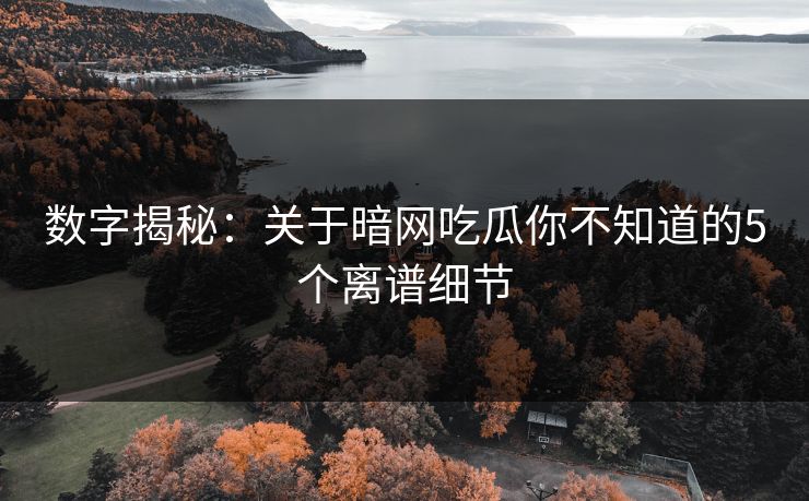 数字揭秘：关于暗网吃瓜你不知道的5个离谱细节